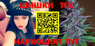 тгк Моздок