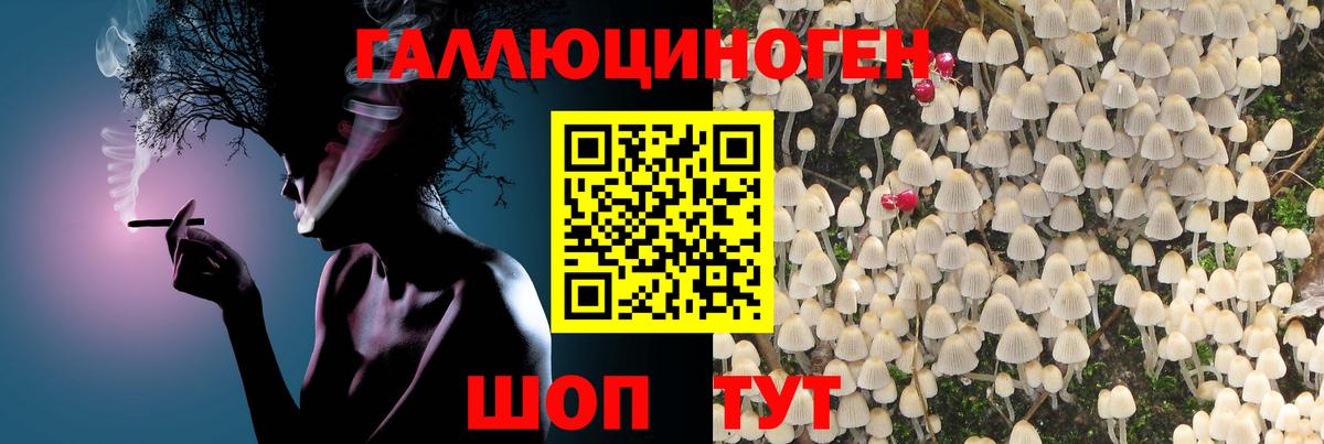 Углич  Галлюциногенные грибы MAGIC MUSHROOMS  Псилоцибиновые грибы ЛСД  Вход с VPN 