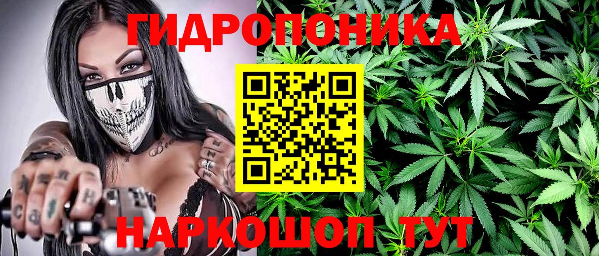 Бошки марихуана AK-47  Марихуана LSD WEED  Углич  Бошки Шишки планчик  Каннабис SATIVA & INDICA  Вход с VPN 